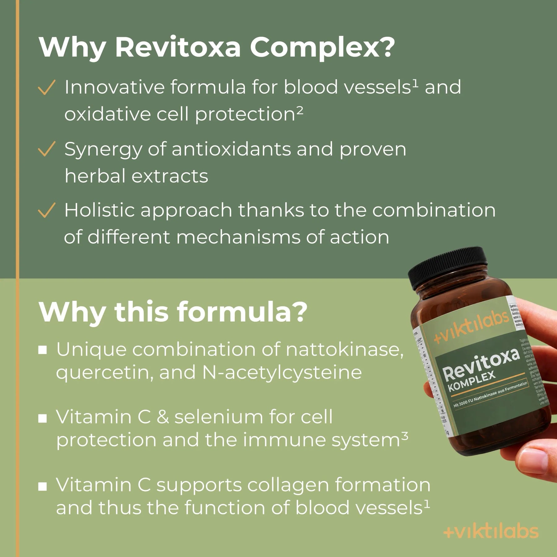 viktilabs-revitoxa-infografik-why-our-product [lang-en]