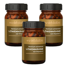 Inforeihe para la Melena de León (Hericium erinaceus) (60 cápsulas)