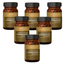 Inforeihe para la Melena de León (Hericium erinaceus) (60 cápsulas)