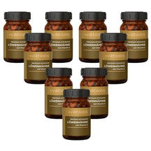 Inforeihe para la Melena de León (Hericium erinaceus) (60 cápsulas)