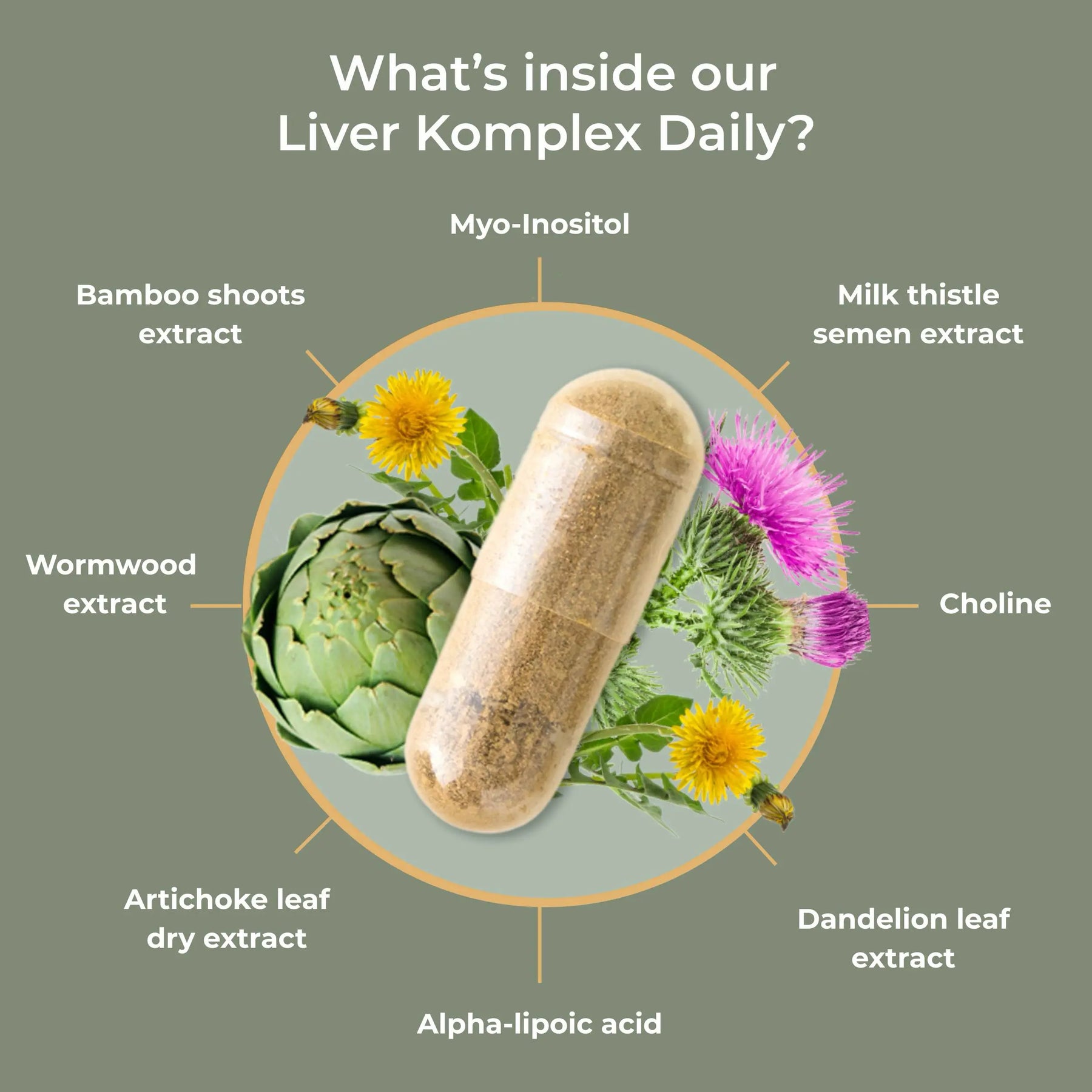 viktilabs-leber-komplex-infografik-ingredients [lang-en]