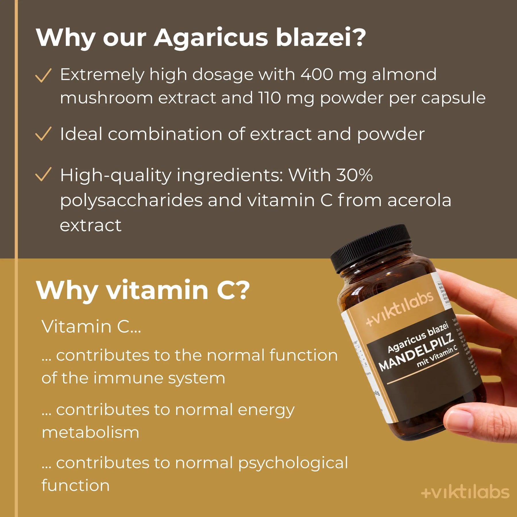 viktilabs-mandelpilz-infografik-why-our-product [lang-en]