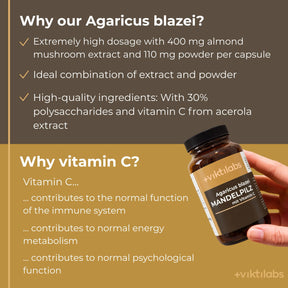 viktilabs-mandelpilz-infografik-why-our-product [lang-en]