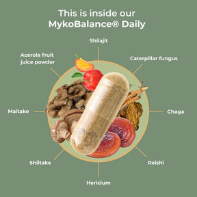 viktilabs-mykobalance-infografik-ingredients [lang-en]