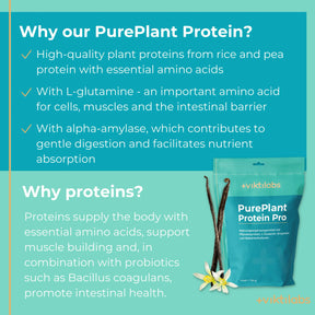 viktilabs-pure-plant-protein-pro-vanille-infografik-why-our-product [lang-en]