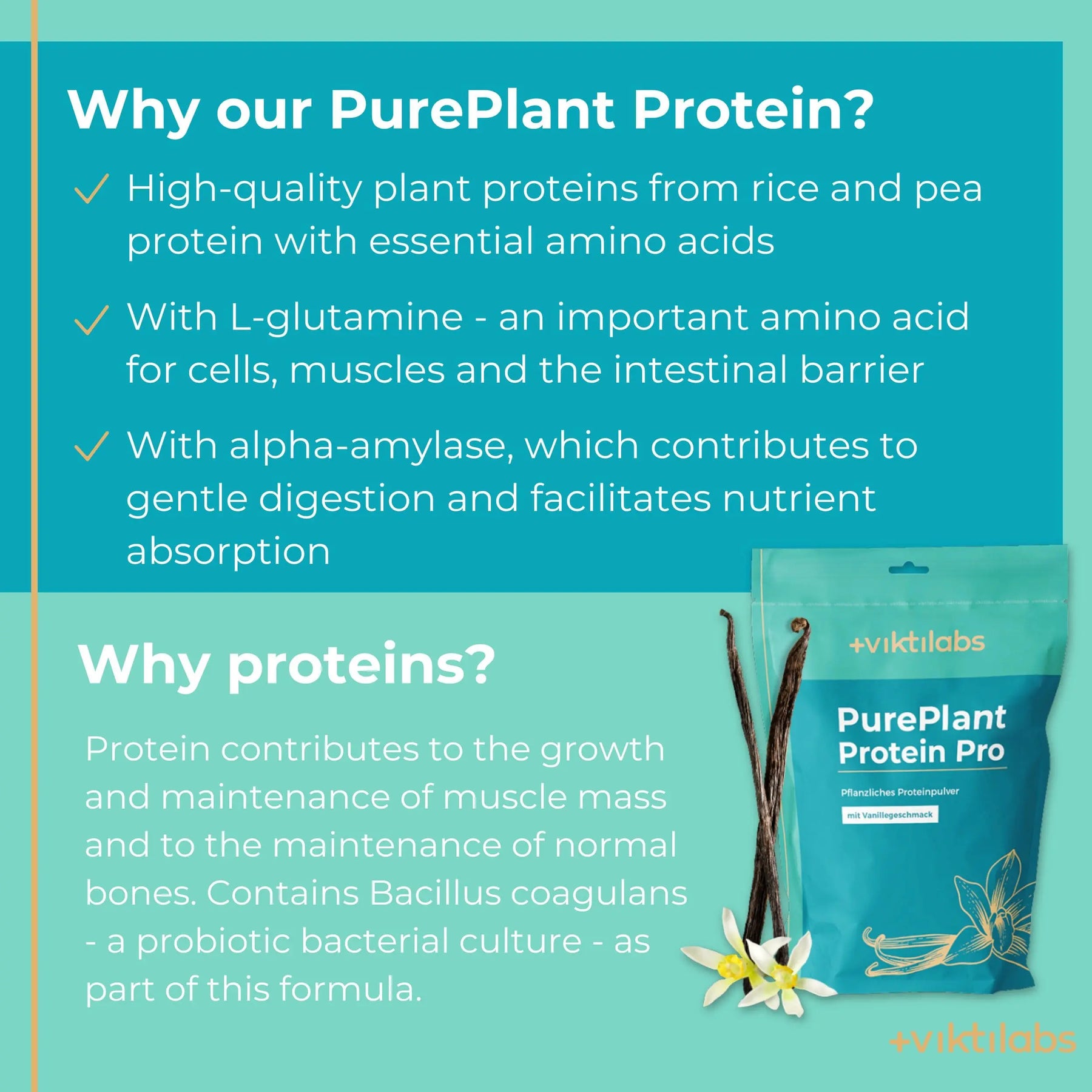 viktilabs-pure-plant-protein-pro-vanille-infografik [lang-en]