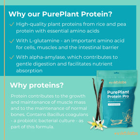 viktilabs-pure-plant-protein-pro-vanille-infografik [lang-en]