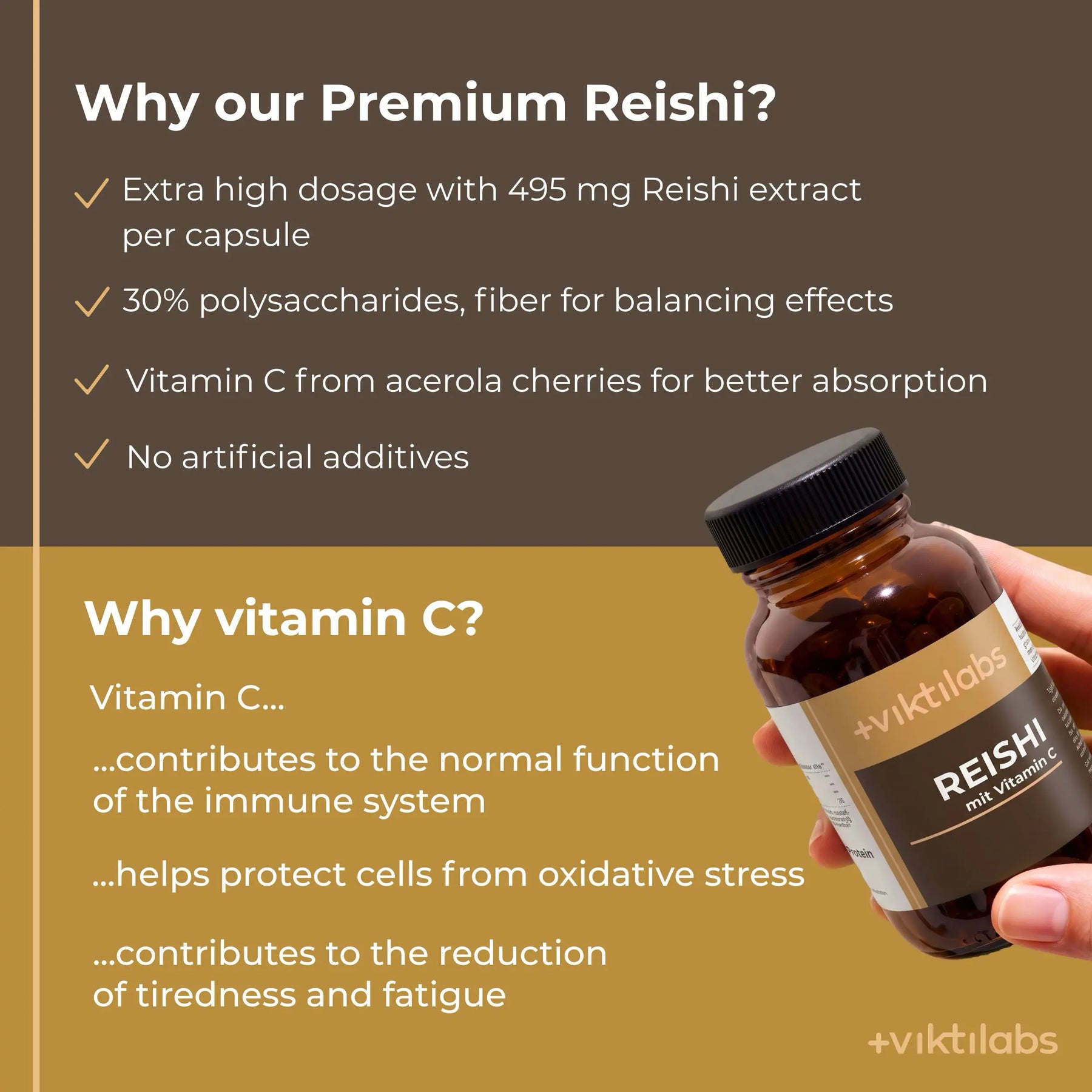 viktilabs-reishi-infografik-why-our-product [lang-en]