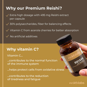 viktilabs-reishi-infografik-why-our-product [lang-en]