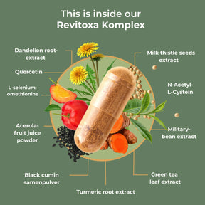 viktilabs-revitoxa-infografik-inhaltsstoffe [lang-en]