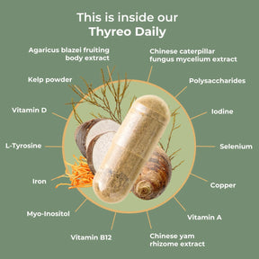 viktilabs-thyreo-daily-infografik-ingredients [lang-en]