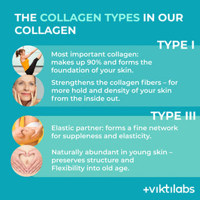 viktilabs-kollagen-infografik-kollagentyp [lang-en]