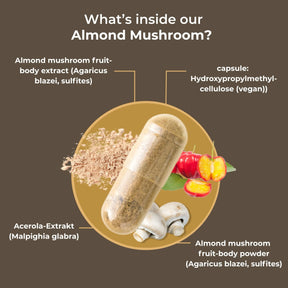 viktilabs-mandelpilz-infografik-ingredients [lang-en]
