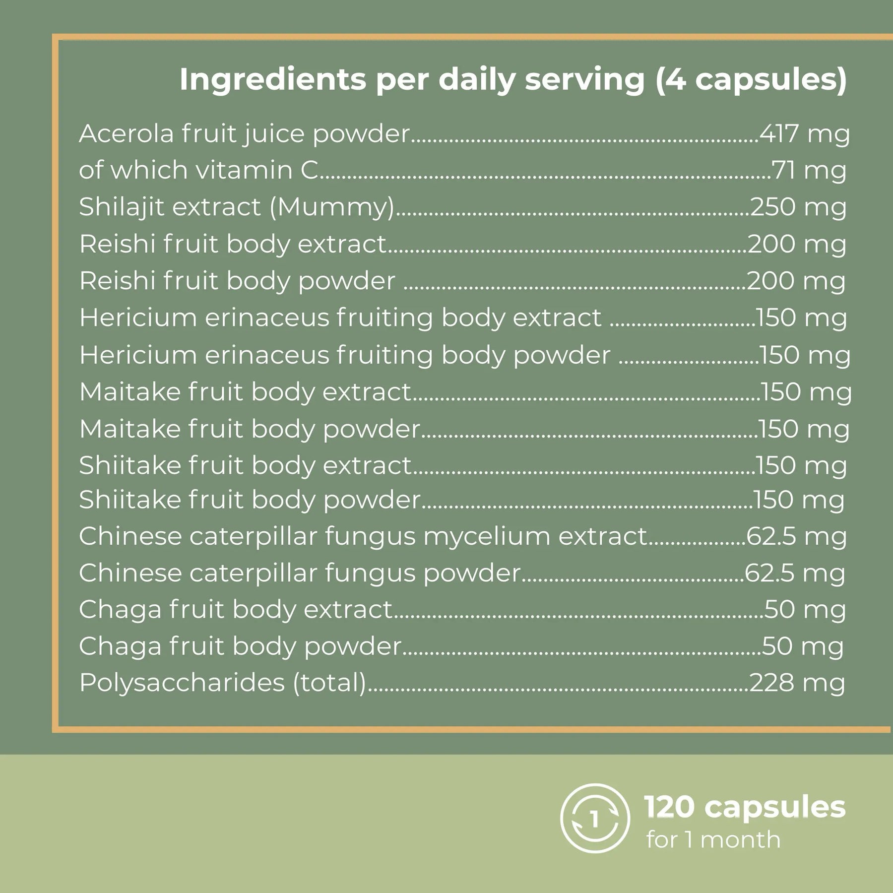 viktilabs-myko-balance-infografik-ingredients-per-dose [lang-en]