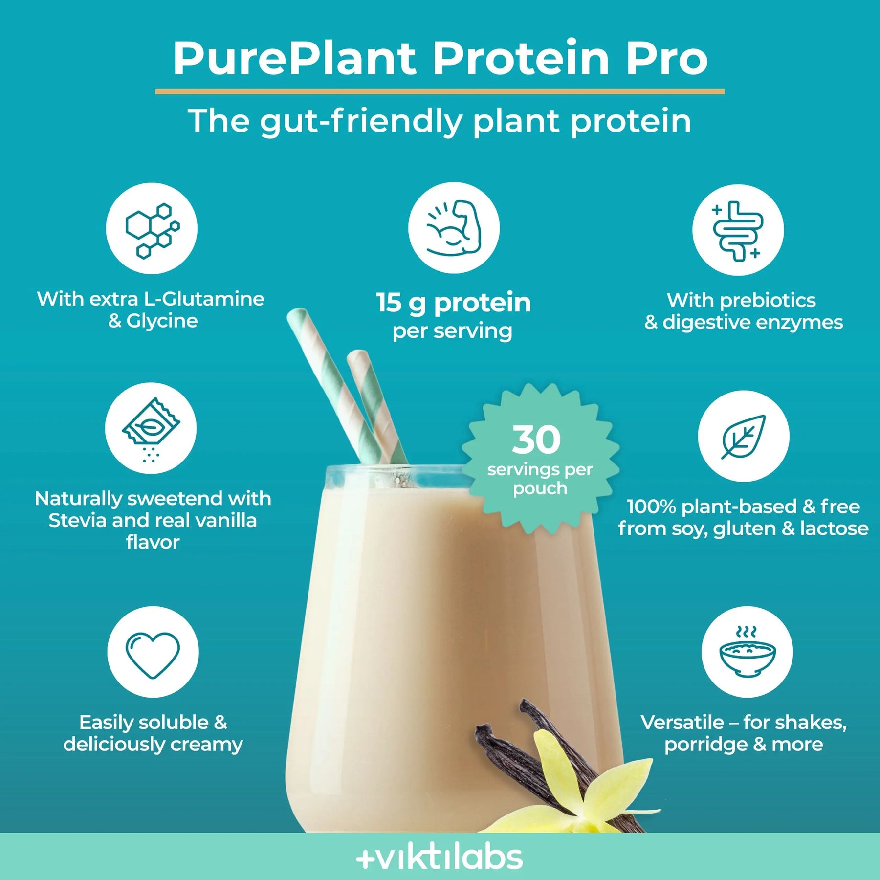 viktilabs-pure-plant-protein-pro-vanille-infografik [lang-en]