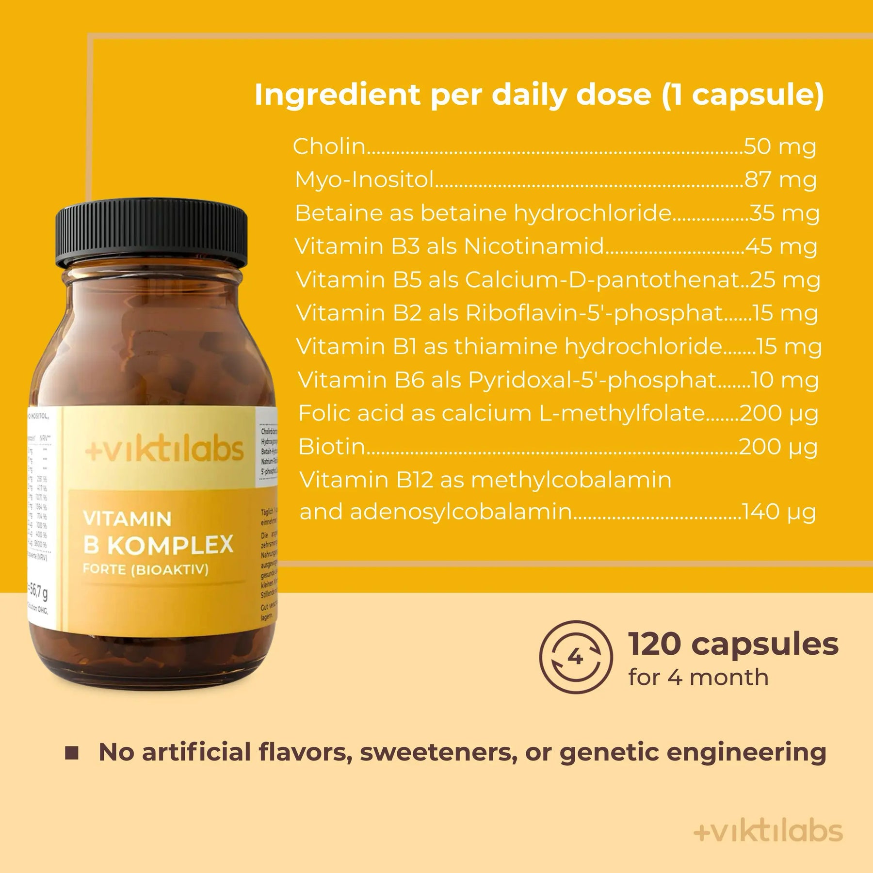 viktilabs-vitamin-b-komplex-forte-infografik-ingredients-per-dose [lang-en]