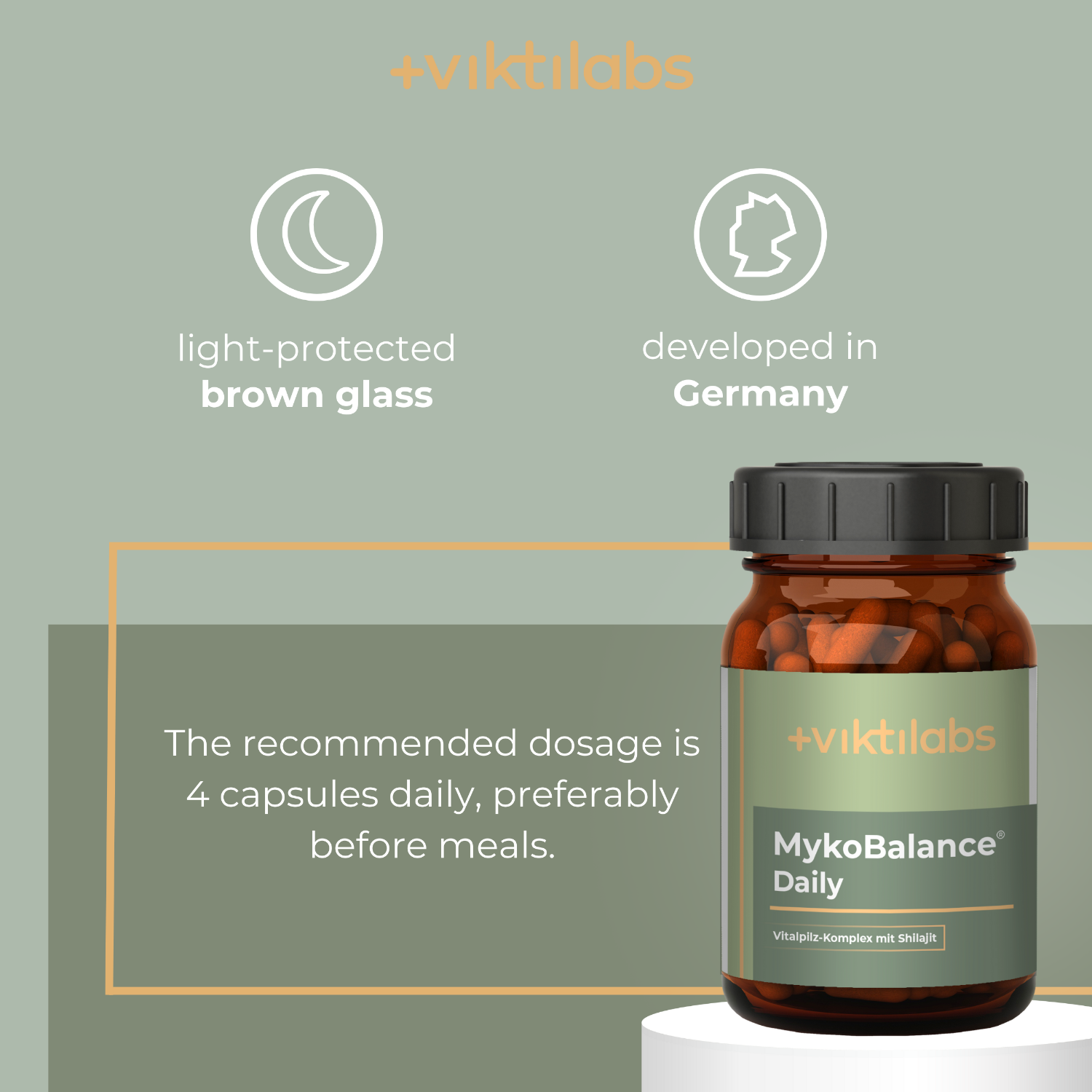 Englisch Mykobalance 4 [lang-en]
