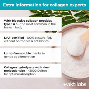 viktilabs-kollagen-infografik-extra-info [lang-en]