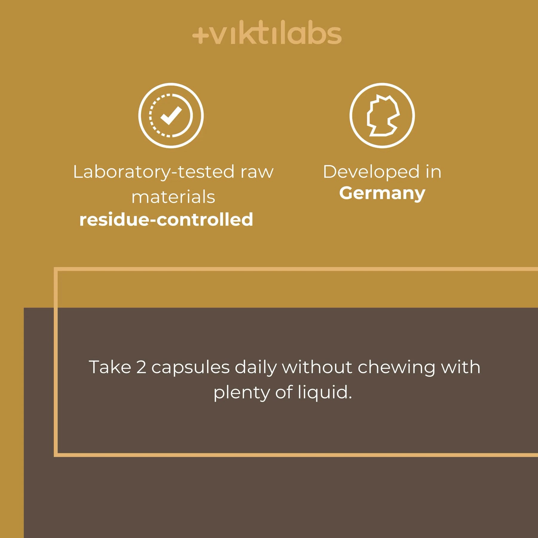 viktilabs-löwenmähne-infografik-use [lang-en]