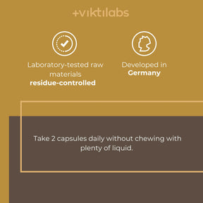 viktilabs-löwenmähne-infografik-use [lang-en]