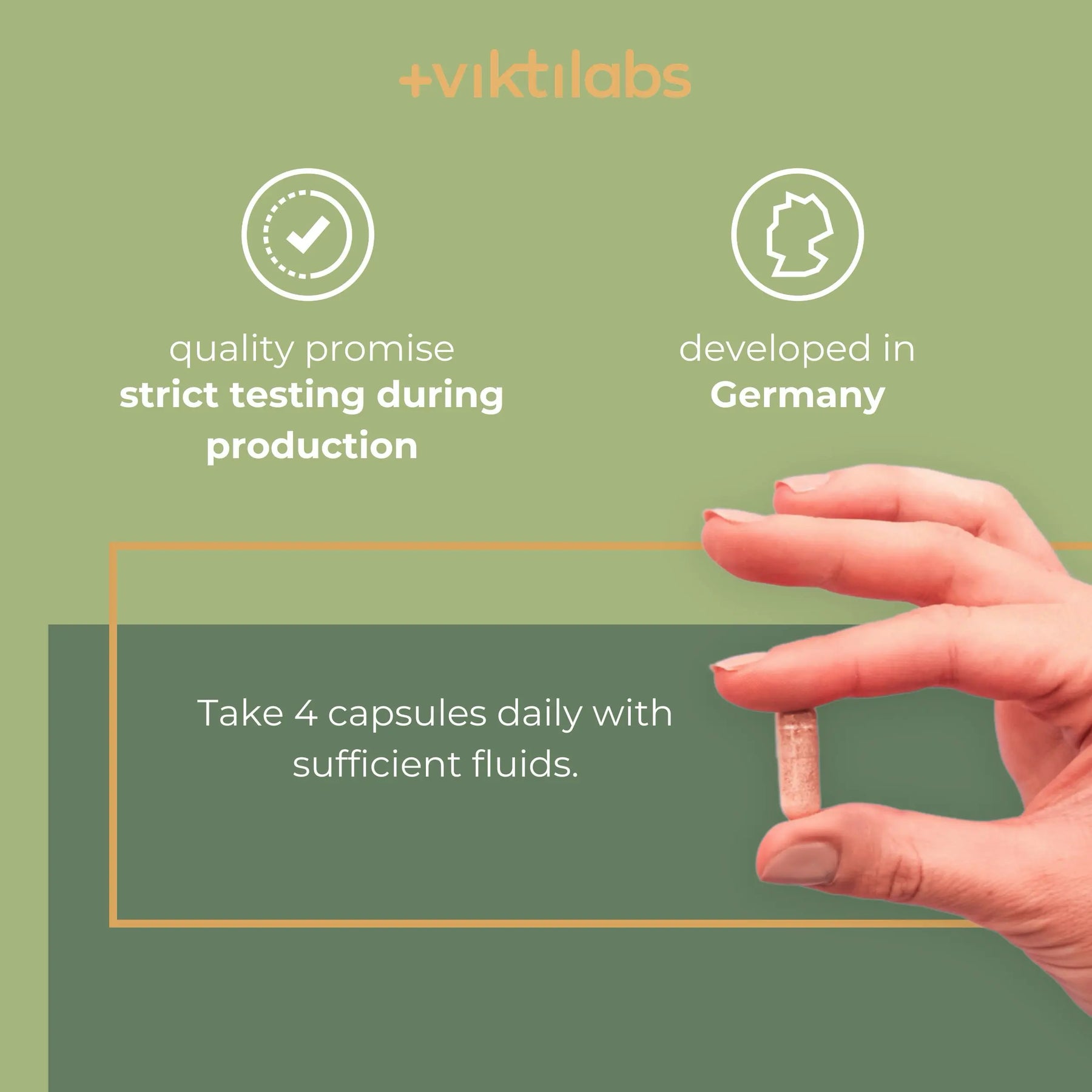viktilabs-revitoxa-infografik-anwendung [lang-en]