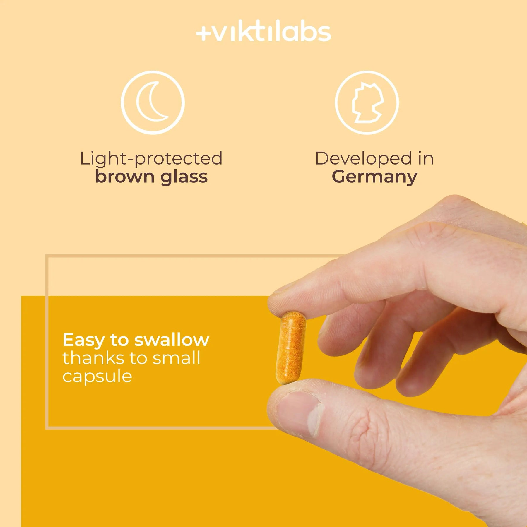 viktilabs-vitamin-b-komplex-forte-infografik-use [lang-en]