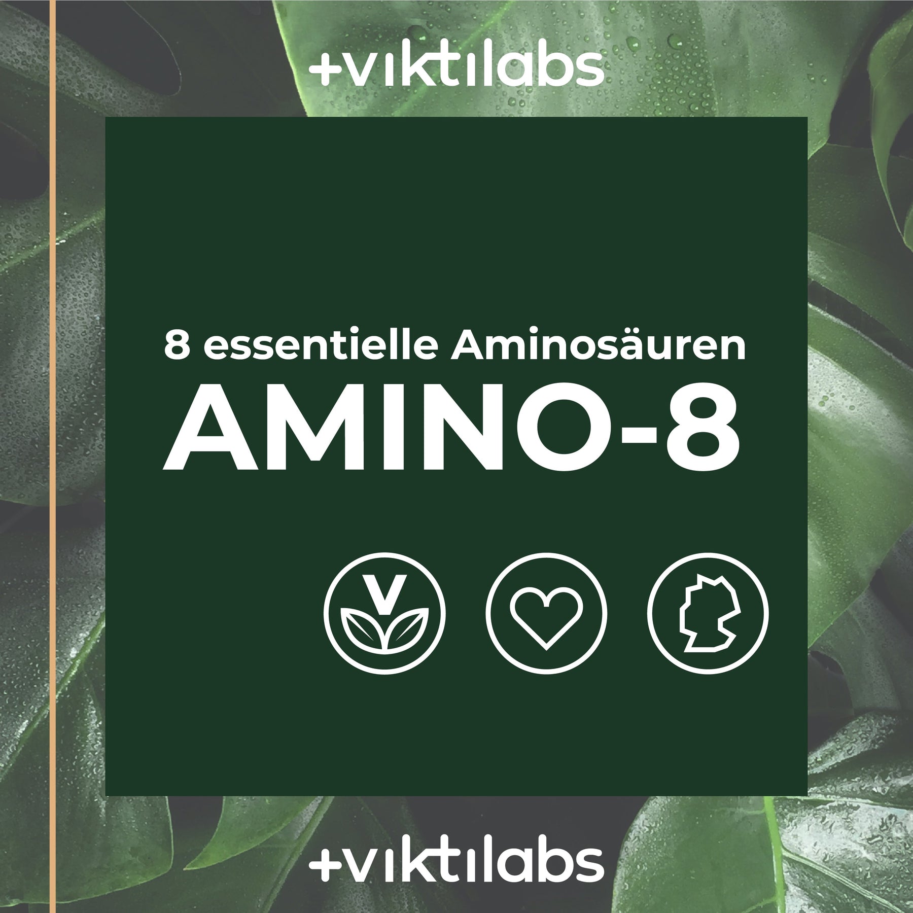NL Angebot Amino 8 - todos los aminoácidos esenciales en una combinación óptima - 150 pellets