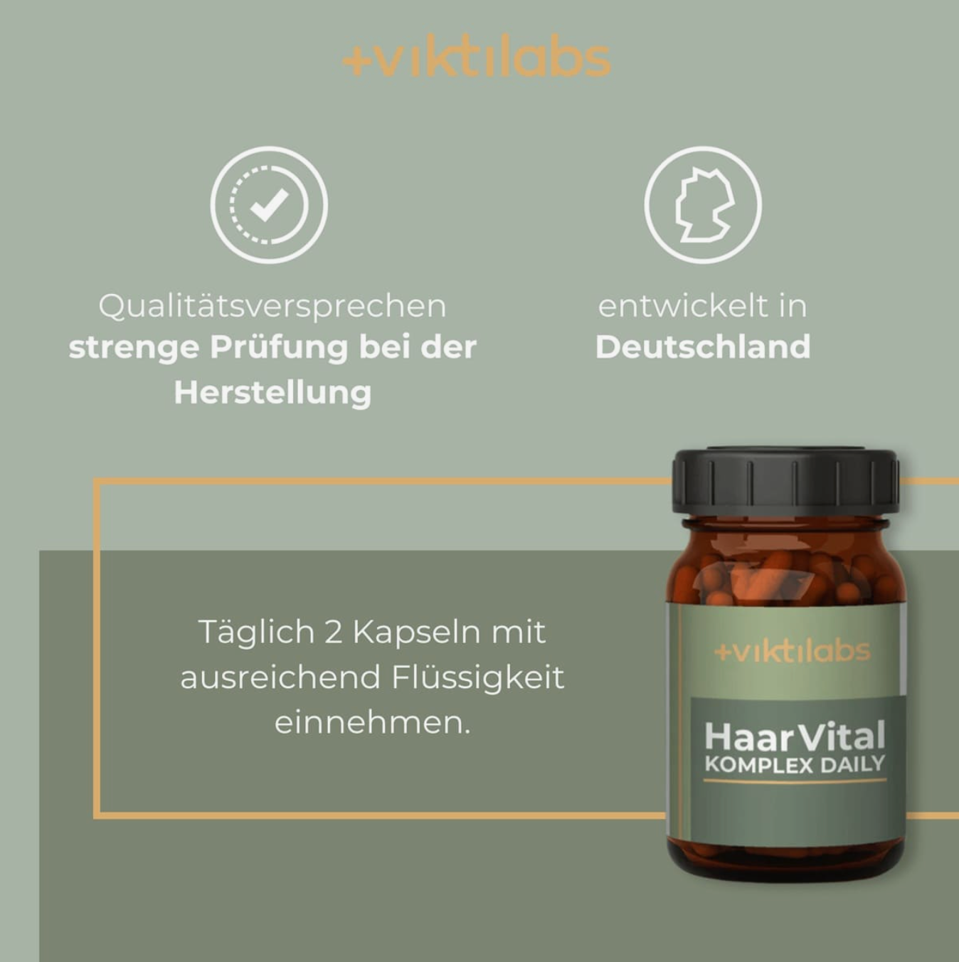 Viktilabs