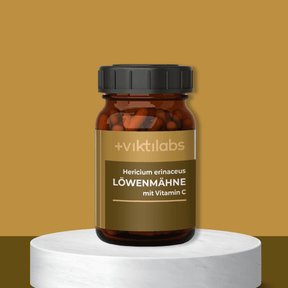 NL Offer Lion's Mane