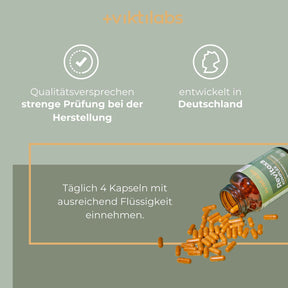 [lang-de]
