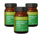 Inforeihe para Chlorella vulgaris - Cultivo de interior (300 gránulos)