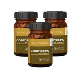 Inforeihe para Cordyceps (70 cápsulas)